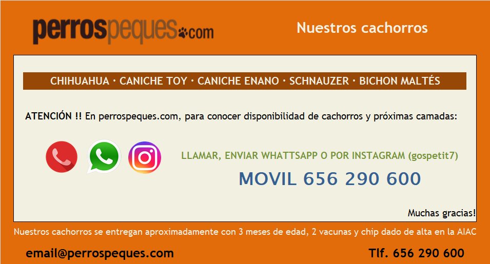 perrospeques.com · stock disponible