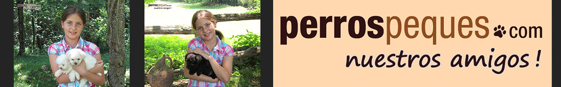 perrospeques.com | Nueva página Nuestros Amigos!